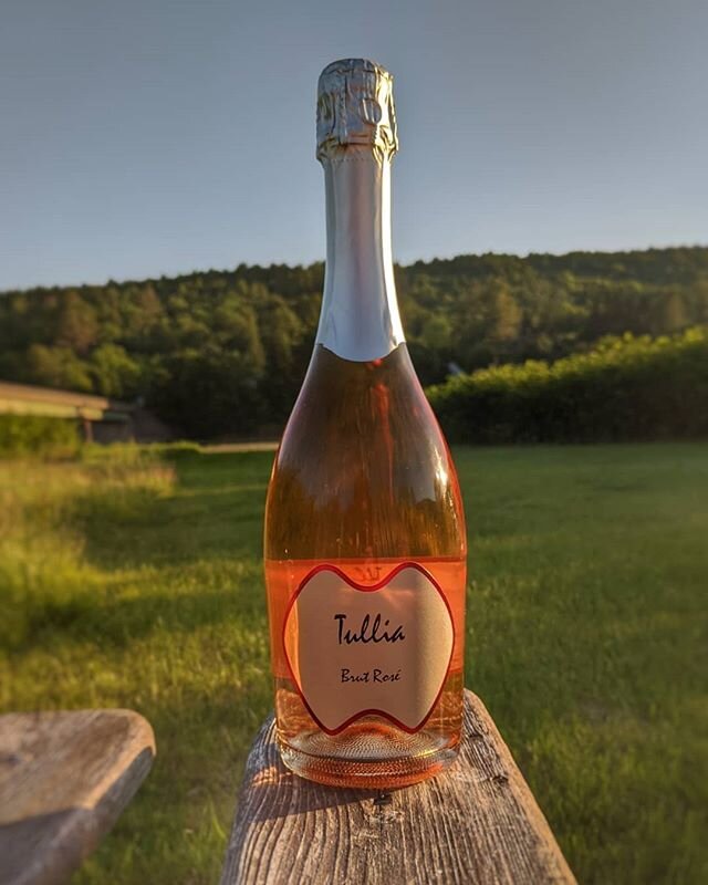 Thanks to our neighbor, @thecallicoonwinemerchant, we'll be celebrating our reopening by giving our first 20 reservations a bottle of sparkling Ros&eacute; to enjoy by the river. Here's to a summer to remember 🥂
Reopening this Friday. Visit our website to learn more about our Health and Safety Plan and book. .
.
#ros&eacute;allday #reopening #summer2020 #callicoonny #fostersupplyhospitality